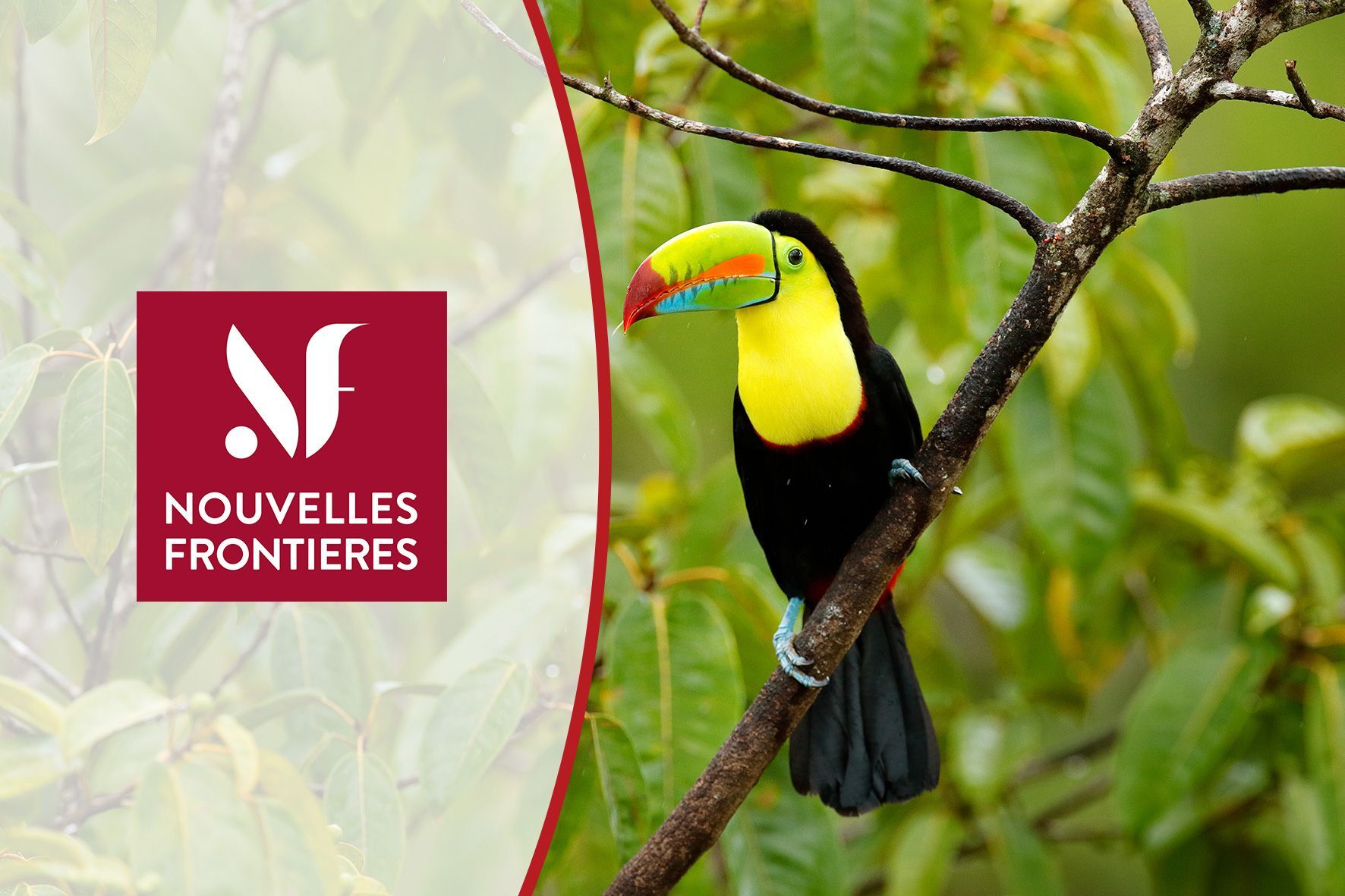 Nouvelles_Frontieres_6a939a2642